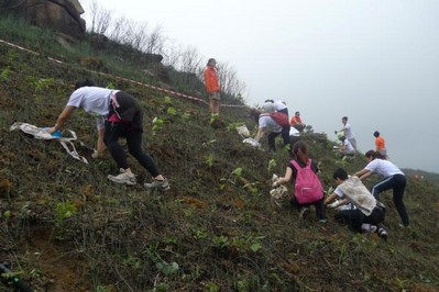 今年逾700人報名參加，為一幅去年被山火燒去大范圍林木的山坡種植約6,000棵樹苗。