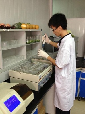 沃爾瑪生鮮配送中心的工作人員正在做農(nóng)藥殘留檢測(cè)。